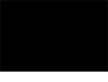 Tablet Screenshot of cityofoaksfoundation.org